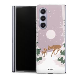 Skyddskal genomskinlig