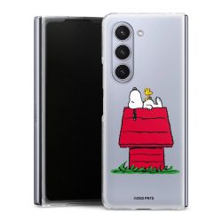 Skyddskal genomskinlig