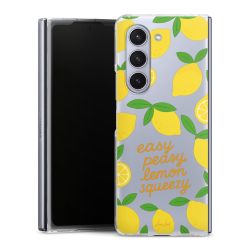 Skyddskal genomskinlig