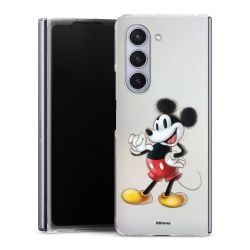 Hard Case transparent