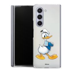 Skyddskal genomskinlig