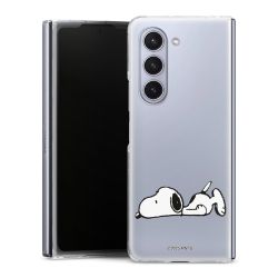 Hard Case transparent