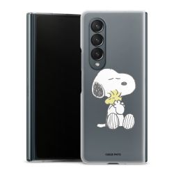 Skyddskal genomskinlig