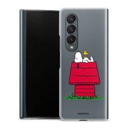 Skyddskal genomskinlig