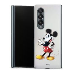 Skyddskal genomskinlig