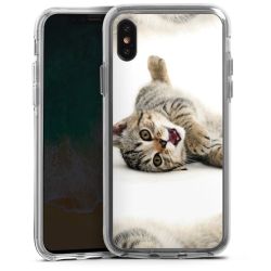 Bumper Case transparent