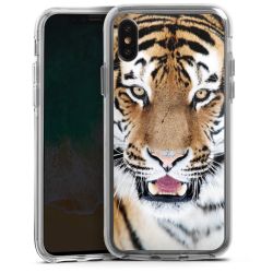 Bumper Case transparent