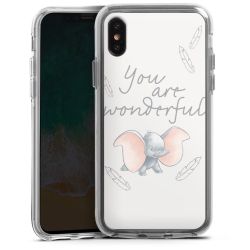 Bumper Case transparent