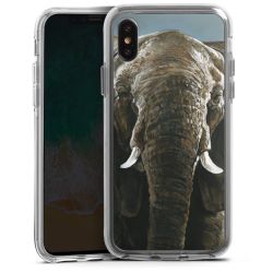 Bumper Case transparent