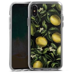 Bumper Case transparent