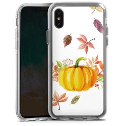 Bumper Case transparent