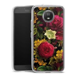 Bumper Case transparent