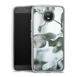 Bumper Case transparent