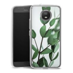 Bumper Case transparent