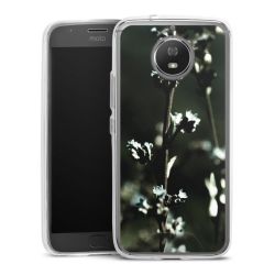 Bumper Case transparent