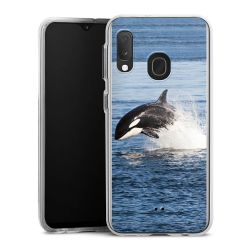 Bumper Case transparent single