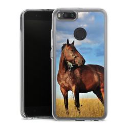 Bumper Case transparent single