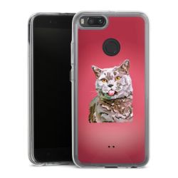 Bumper Case transparent