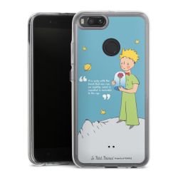 Bumper Case transparent