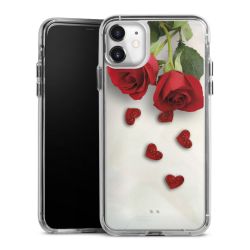 Bumper Case transparent