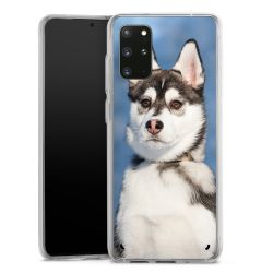 Bumper Case transparent