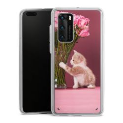 Bumper Case transparent