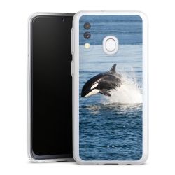 Bumper Case transparent single