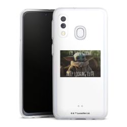 Bumper Case transparent single