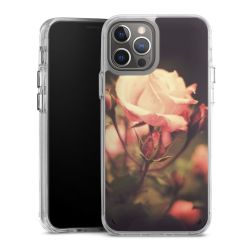 Bumper Case transparent