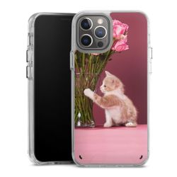 Bumper Case transparent