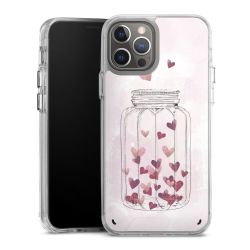 Bumper Case transparent