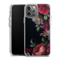 Bumper Case transparent