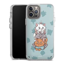 Bumper Case transparent