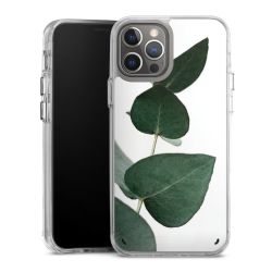 Bumper Case transparent