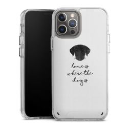 Bumper Case transparent