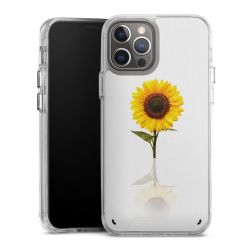 Bumper Case transparent