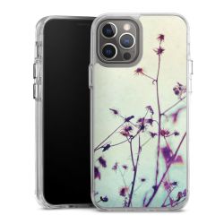 Bumper Case transparent