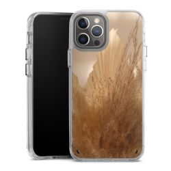 Bumper Case transparent