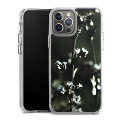 Bumper Case transparent