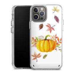 Bumper Case transparent