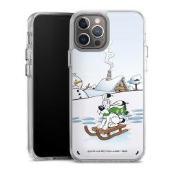 Bumper Case transparent single