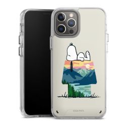 Bumper Case transparent