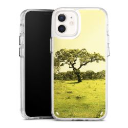 Bumper Case transparent