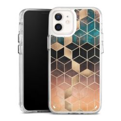 Bumper Case transparent