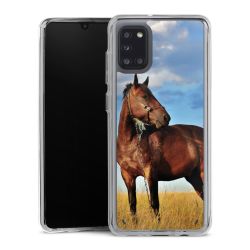 Bumper Case transparent