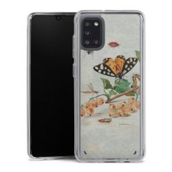 Bumper Case transparent