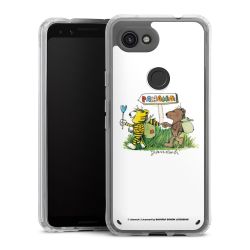 Bumper Case transparent single