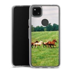 Bumper Case transparent single