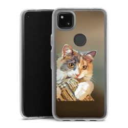 Bumper Case transparent single