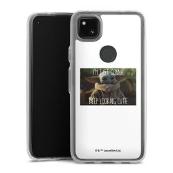 Bumper Case transparent single